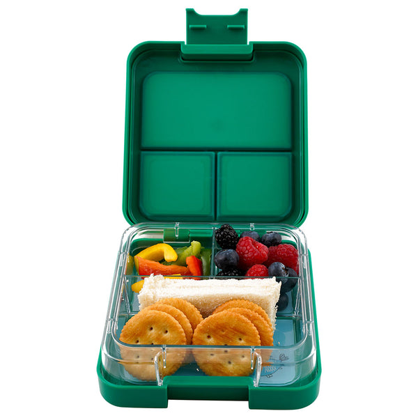Tiny Wheel Mini Bento Box Green     صندوق غداء صغير من تي دابليو بينتو بوكس، أخضر